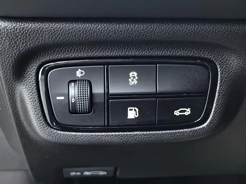 GAC Motor Shadow Leopard — фото 28