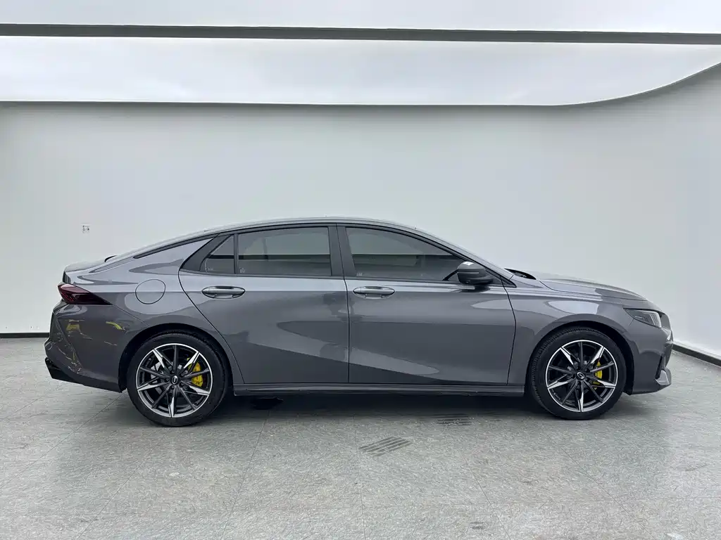 GAC Motor Shadow Leopard — фото 9