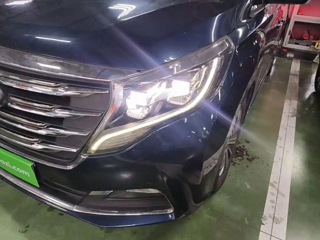 GAC Motor Trumpchi M8 — фото 25