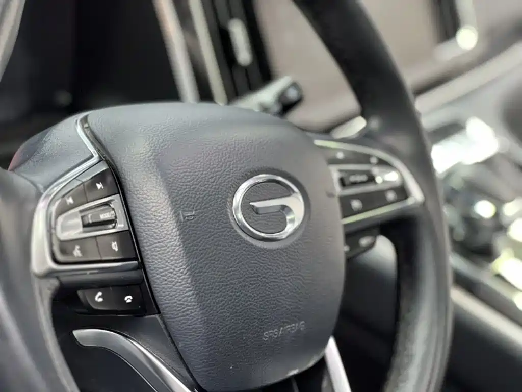 GAC Motor Trumpchi M8 — фото 22