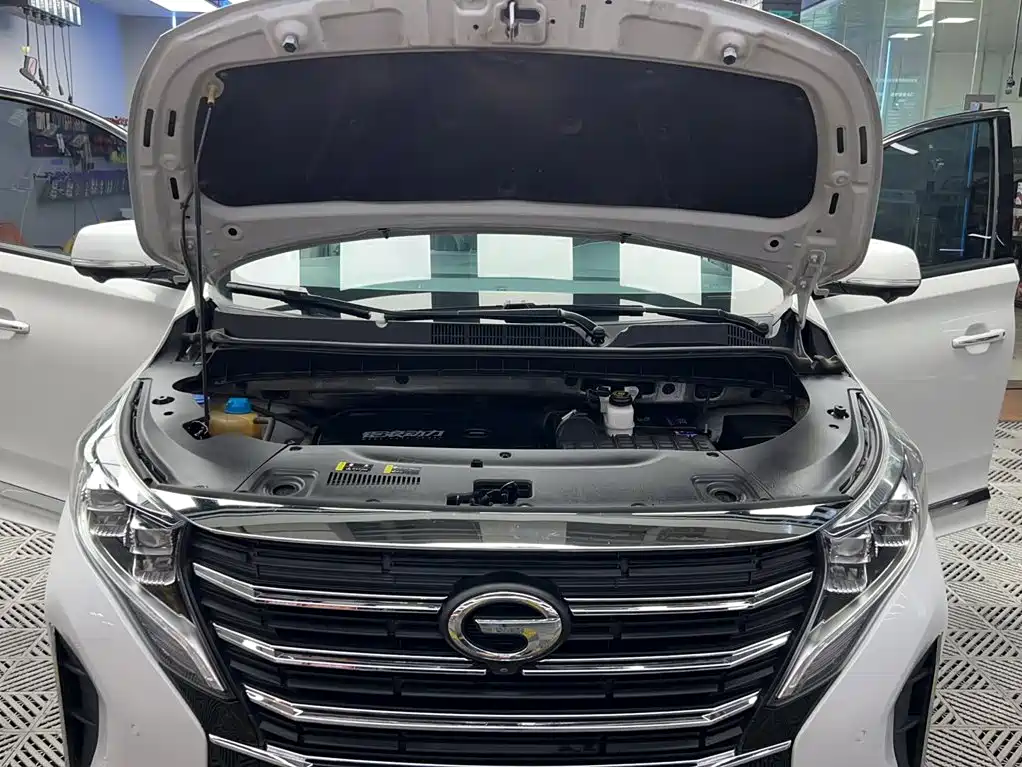 GAC Motor Trumpchi M8 — фото 10