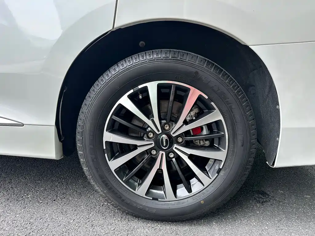 GAC Motor Trumpchi M8 — фото 10