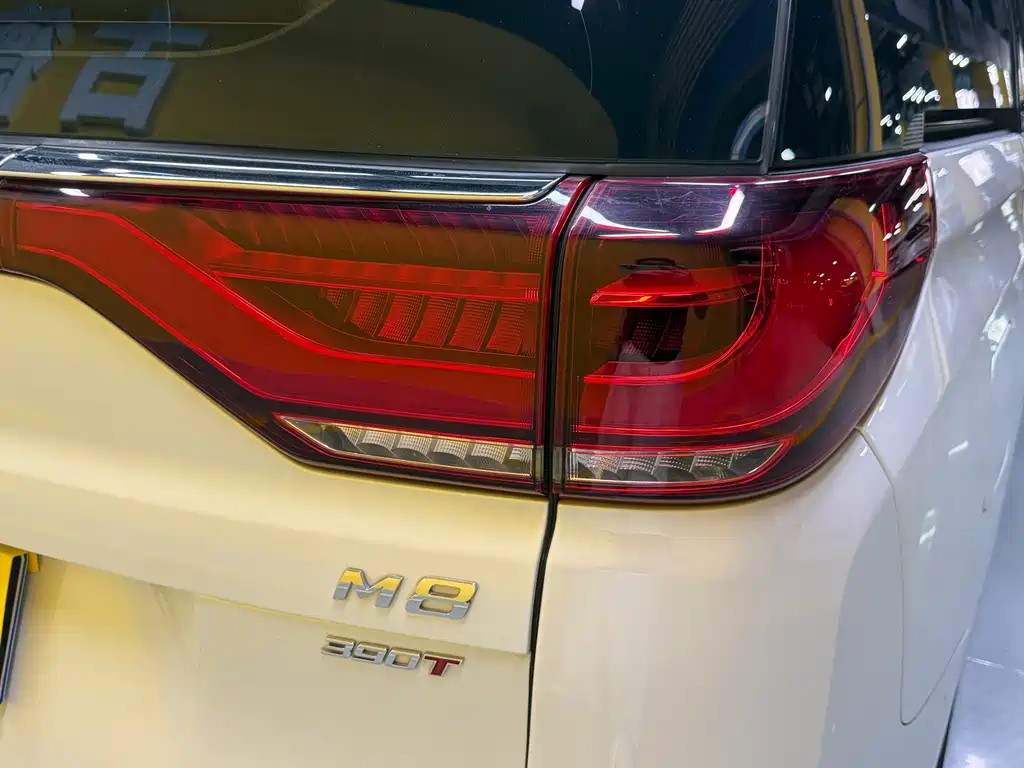 GAC Motor Trumpchi M8 — фото 32