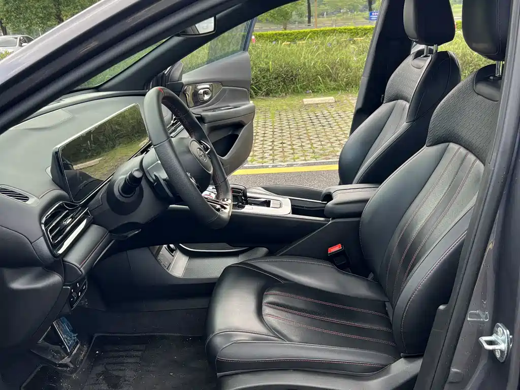 GAC Motor Shadow Leopard — фото 13