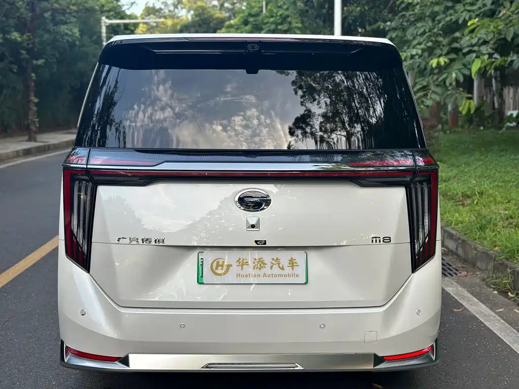 GAC Motor Trumpchi Xiangwang M8 — фото 15