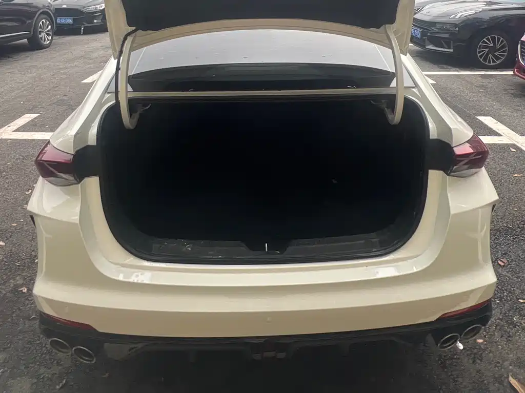 GAC Motor Shadow Leopard — фото 15