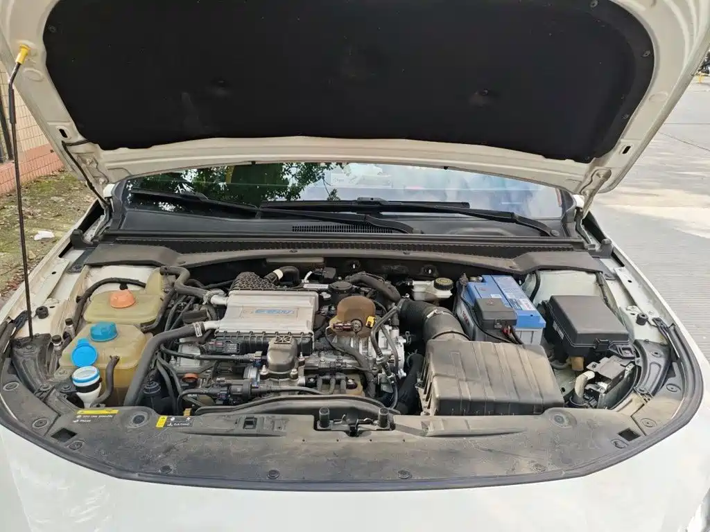 GAC Motor Shadow Leopard — фото 11