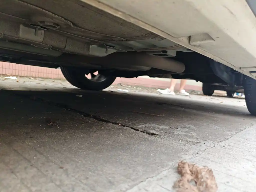 GAC Motor Shadow Leopard — фото 17