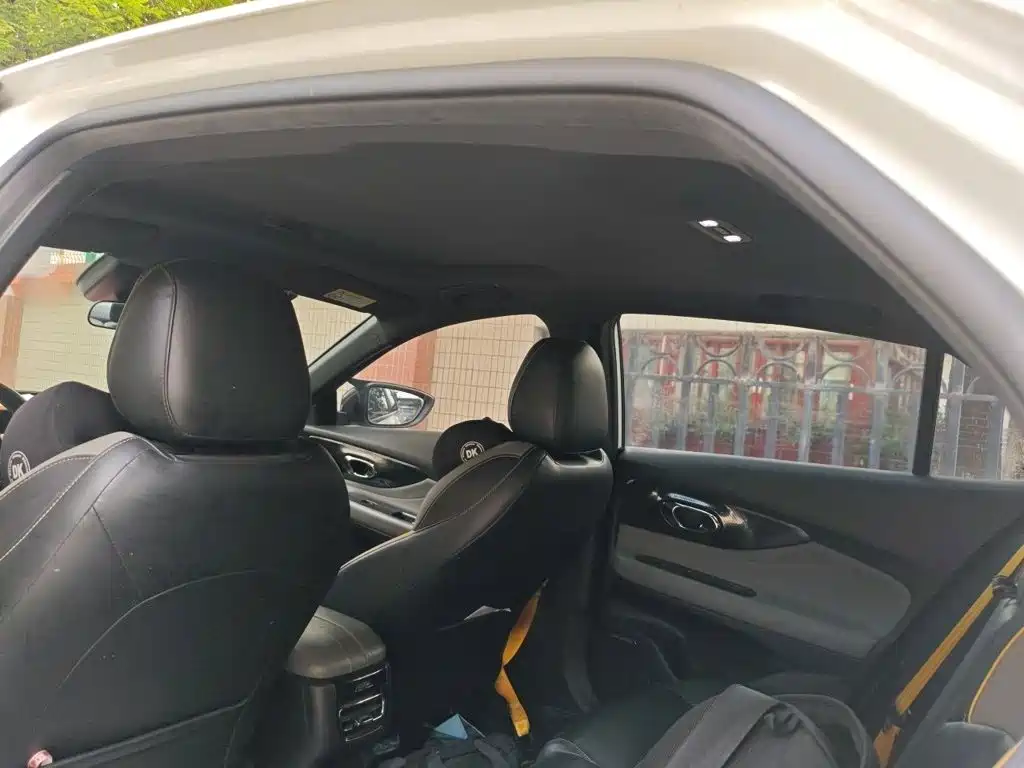 GAC Motor Shadow Leopard — фото 9