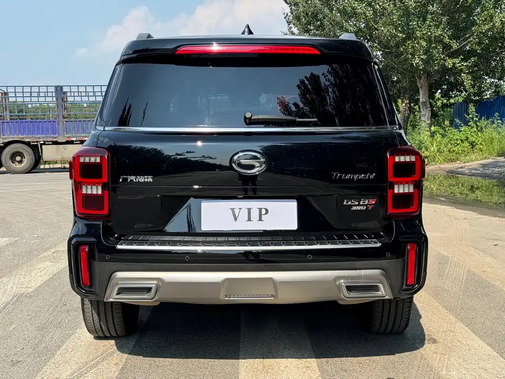 GAC Motor Trumpchi GS8 — фото 6