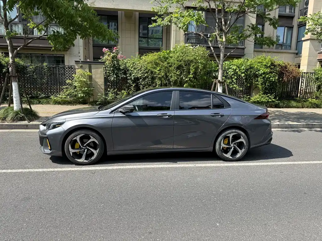 GAC Motor Shadow Leopard — фото 4