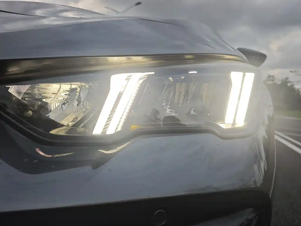 GAC Motor Shadow Leopard — фото 8