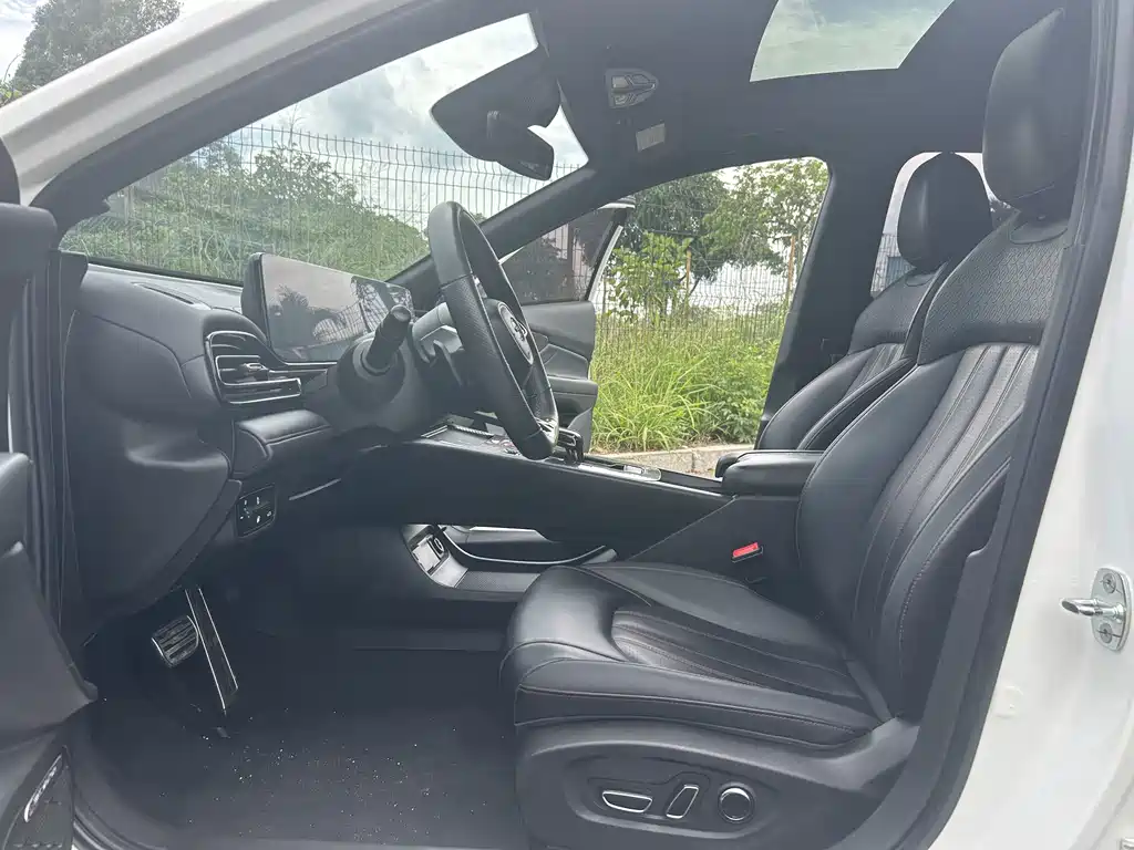 GAC Motor Shadow Leopard — фото 7