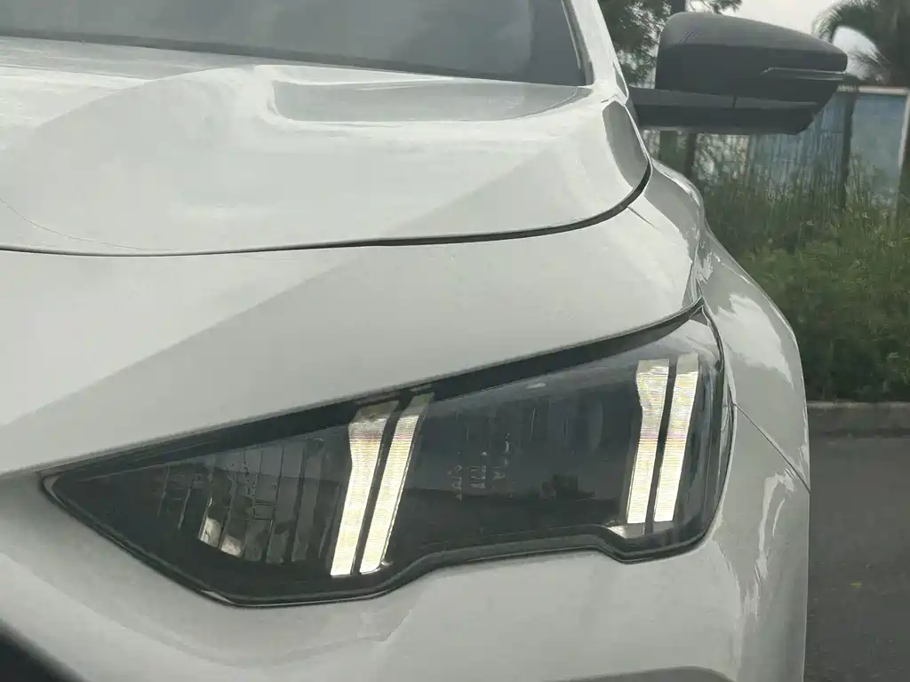 GAC Motor Shadow Leopard — фото 10