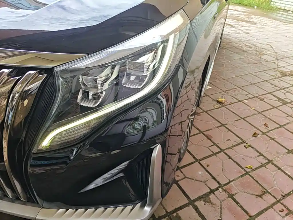 GAC Motor Trumpchi M8 — фото 24