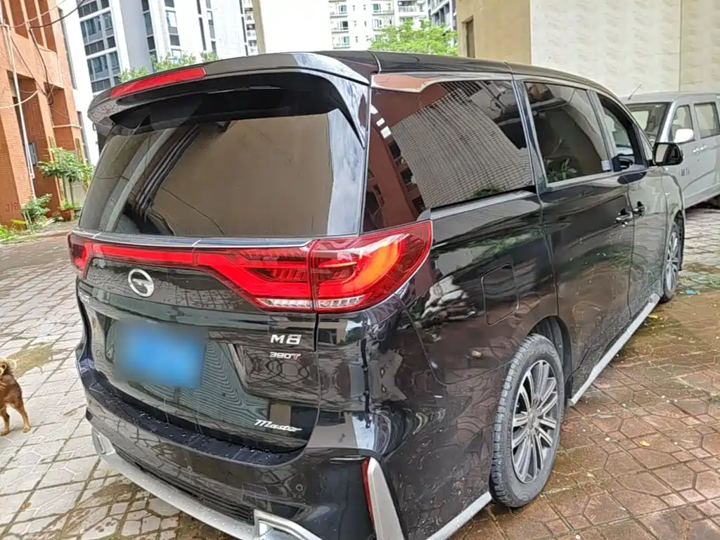 GAC Motor Trumpchi M8 — фото 7
