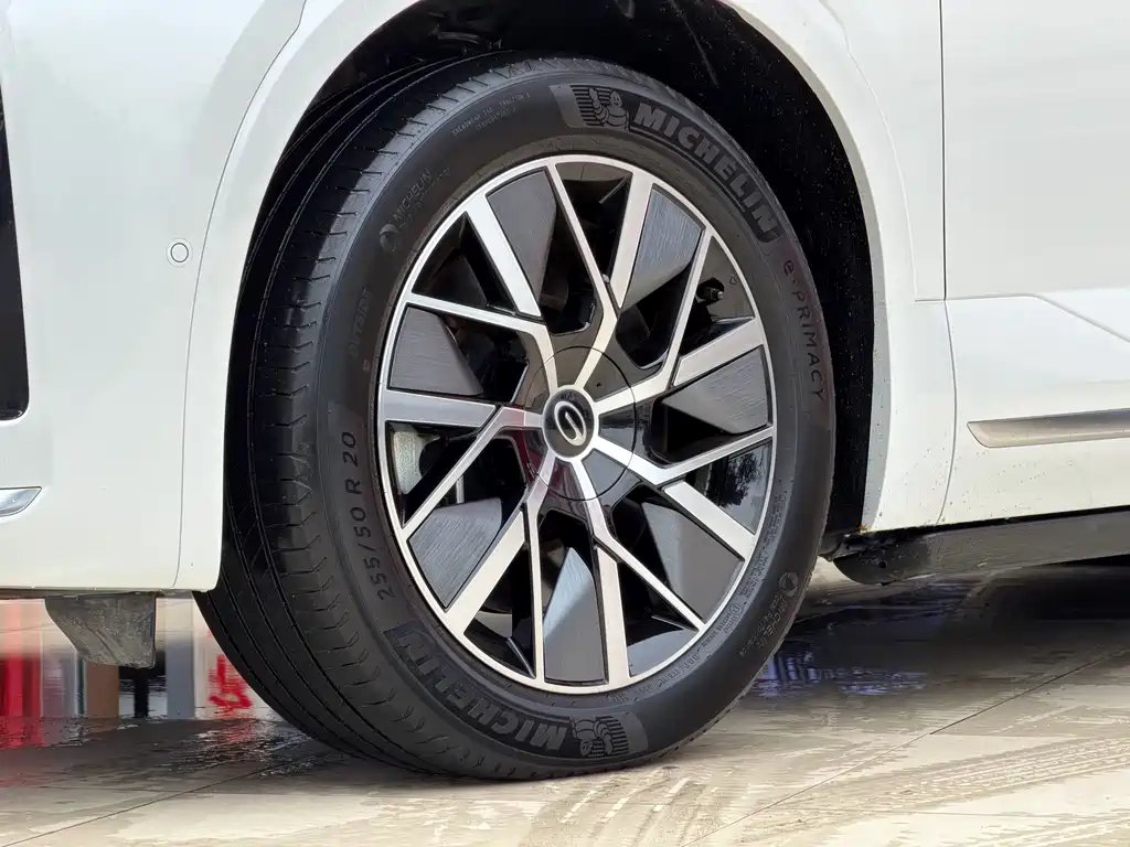 GAC Motor Trumpchi Xiangwang S9 — фото 19
