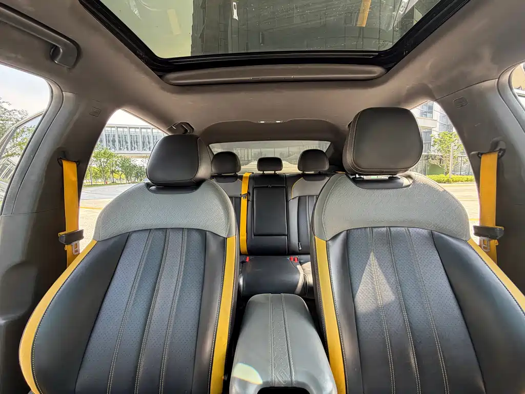 GAC Motor Shadow Leopard — фото 11