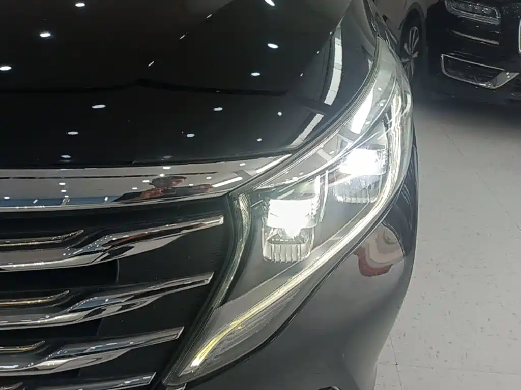 GAC Motor Trumpchi M8 — фото 24