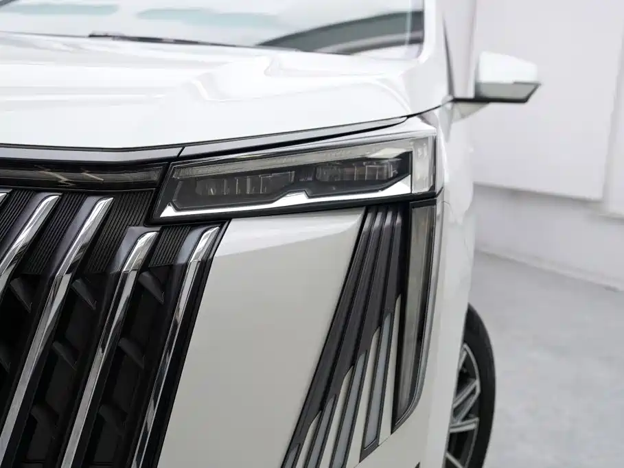GAC Motor Trumpchi M8 — фото 3