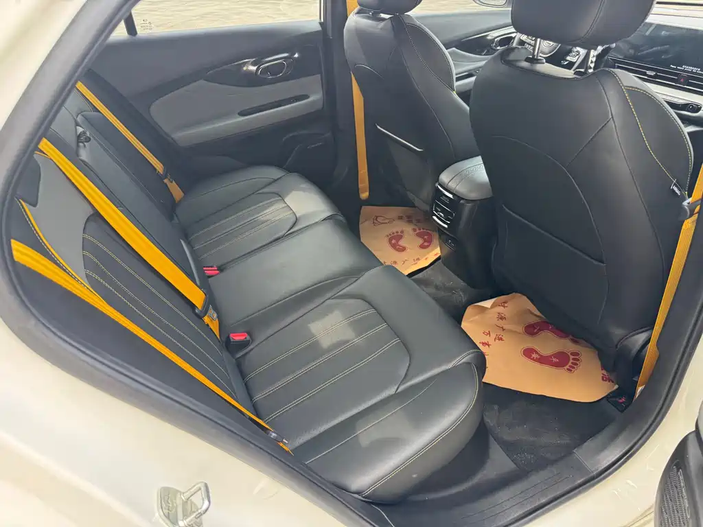 GAC Motor Shadow Leopard — фото 13