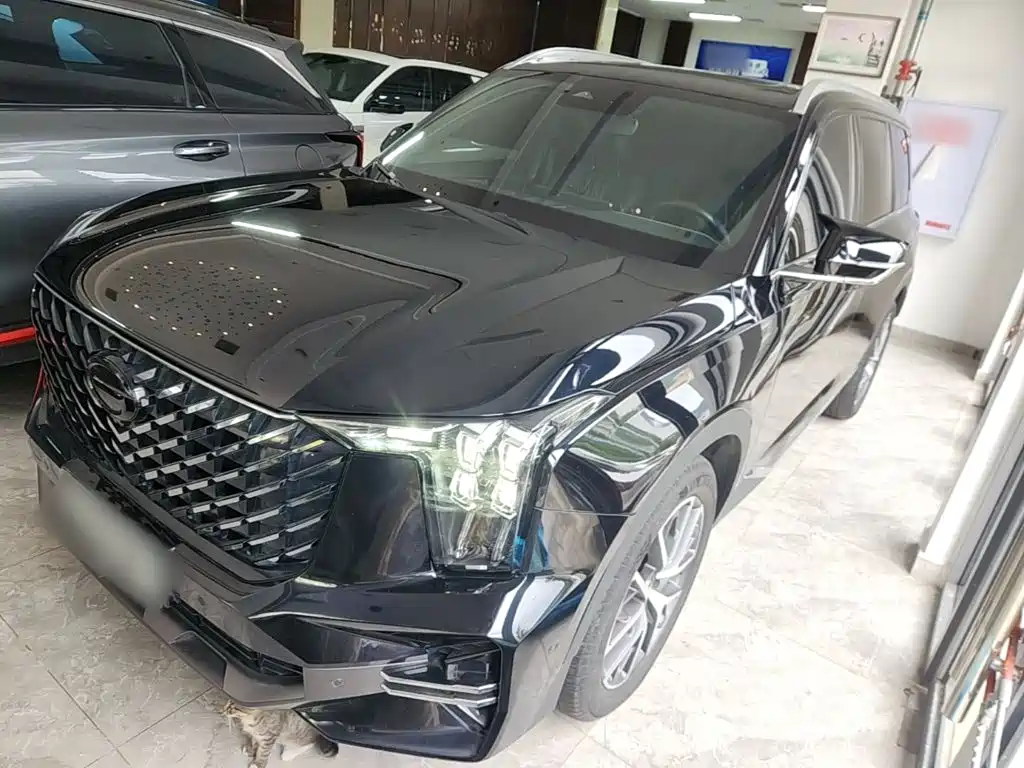 GAC Motor Trumpchi GS8 — фото 2