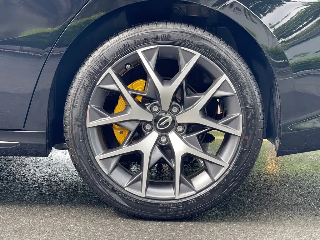 GAC Motor Shadow Leopard — фото 20