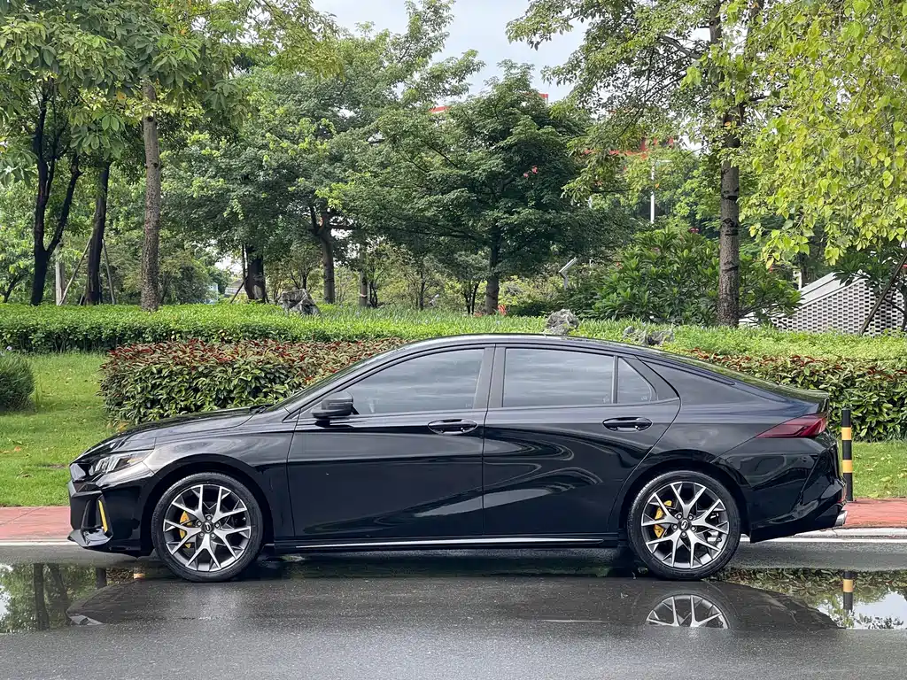 GAC Motor Shadow Leopard — фото 21