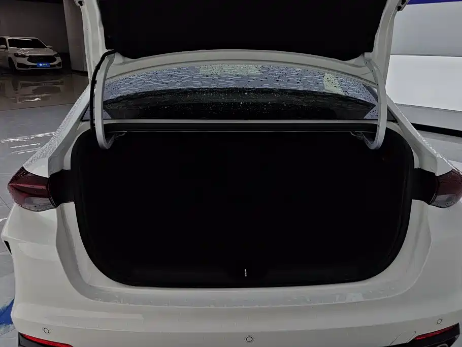 GAC Motor Shadow Leopard — фото 4