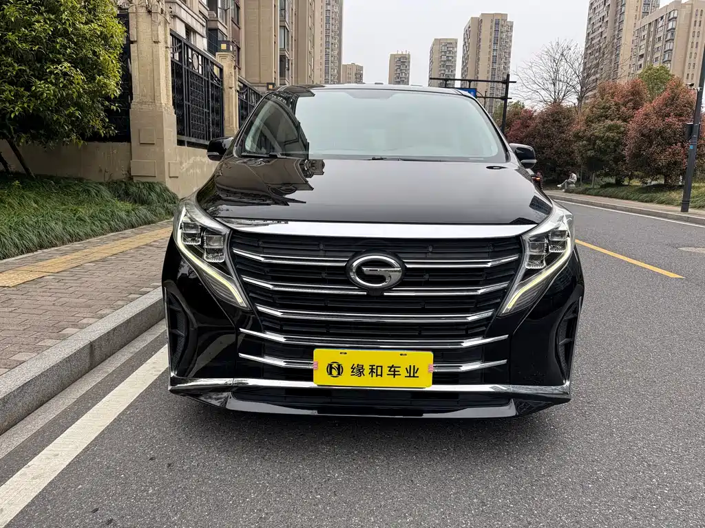 GAC Motor Trumpchi M8 — фото 2