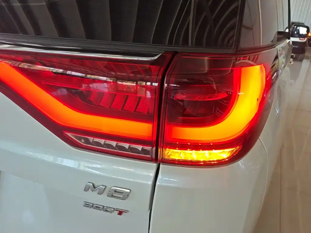 GAC Motor Trumpchi M8 — фото 8
