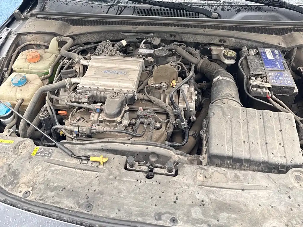 GAC Motor Shadow Leopard — фото 13