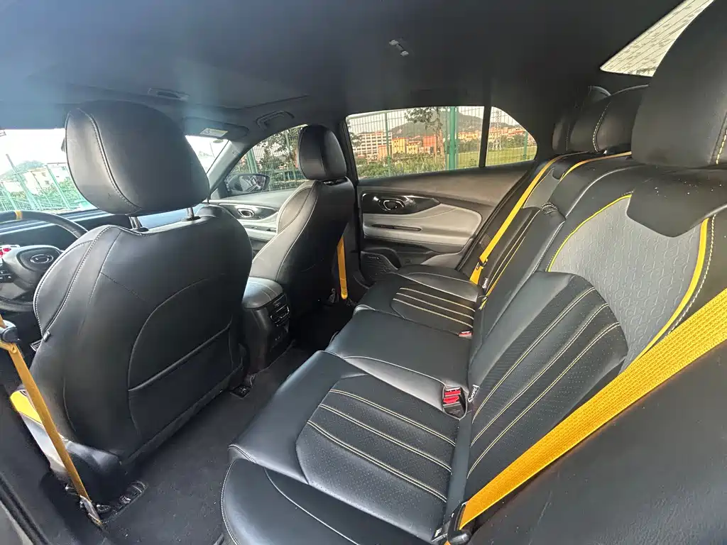 GAC Motor Shadow Leopard — фото 10