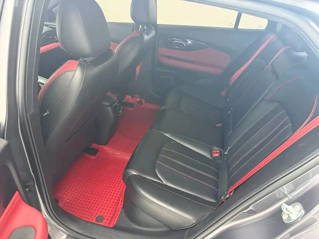 GAC Motor Shadow Leopard — фото 6