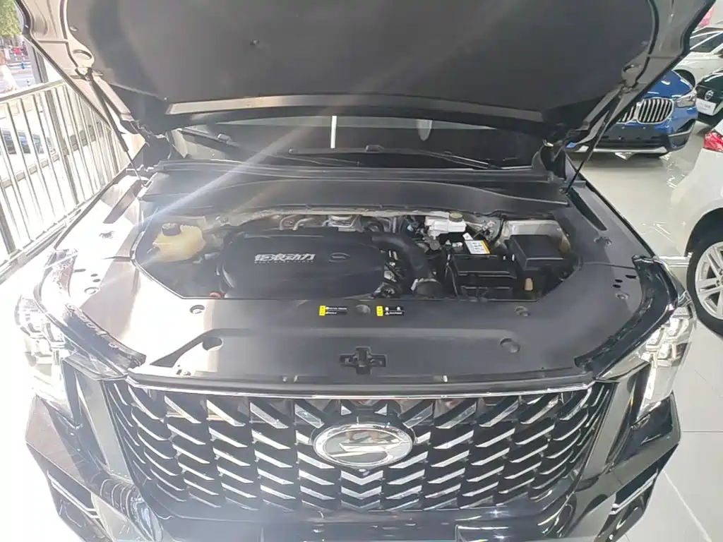 GAC Motor Trumpchi GS8 — фото 20