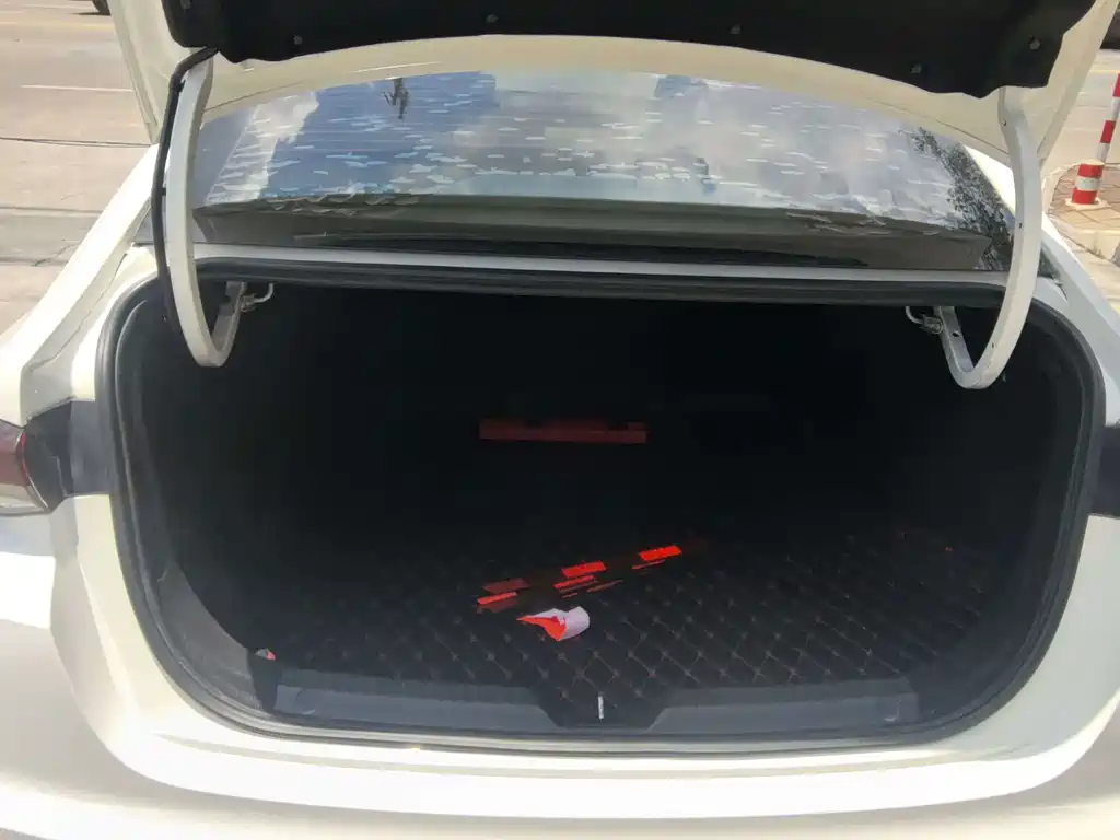 GAC Motor Shadow Leopard — фото 14
