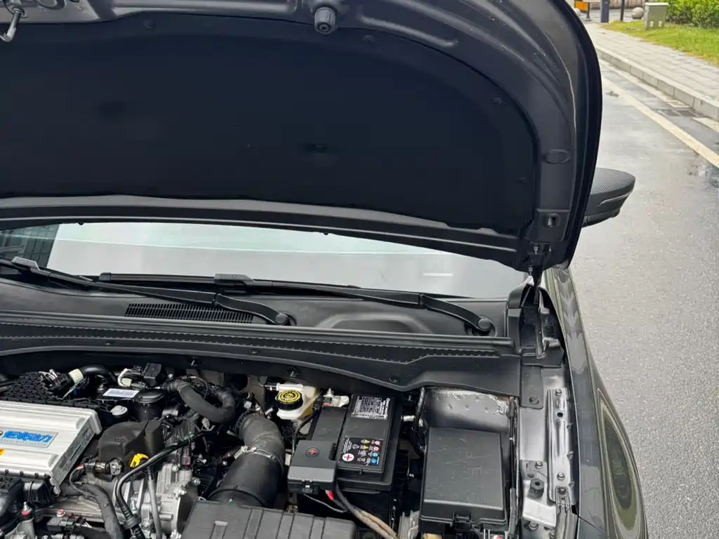 GAC Motor Shadow Leopard — фото 15