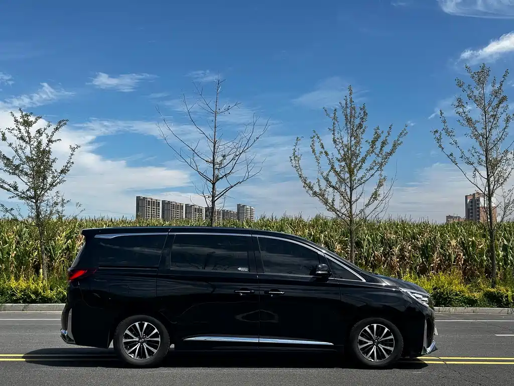GAC Motor Trumpchi M8 — фото 4
