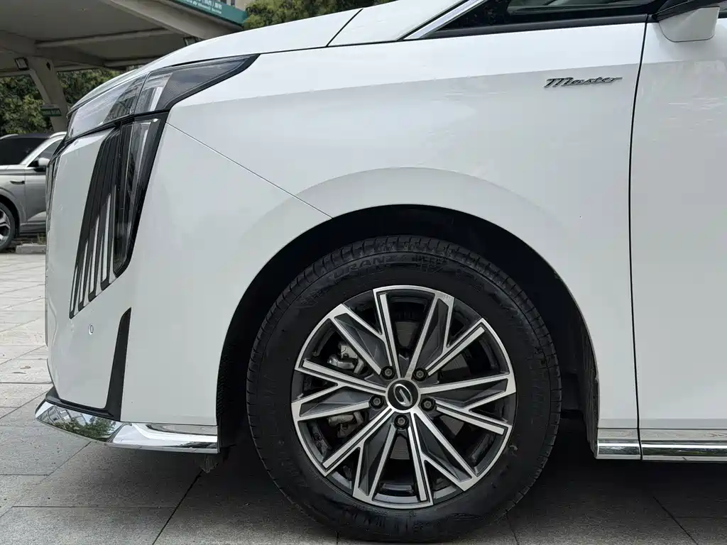 GAC Motor Trumpchi M8 — фото 10