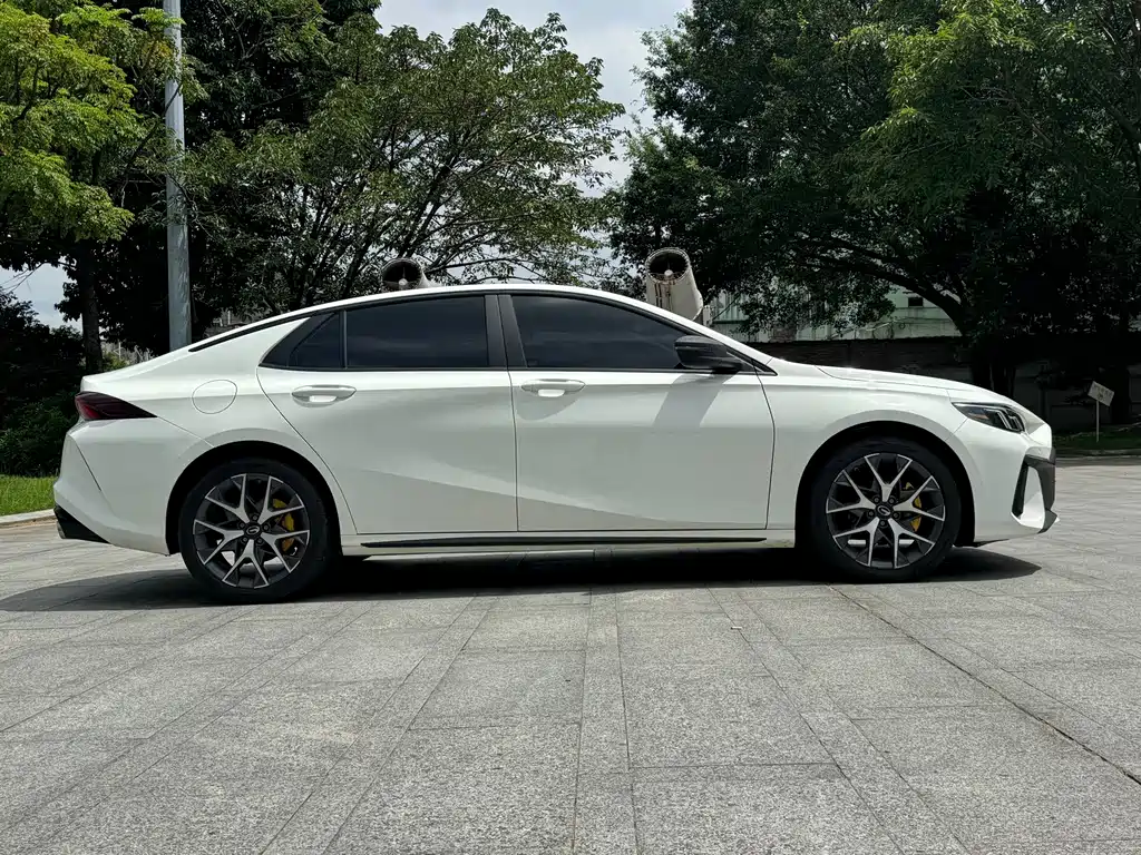 GAC Motor Shadow Leopard — фото 24