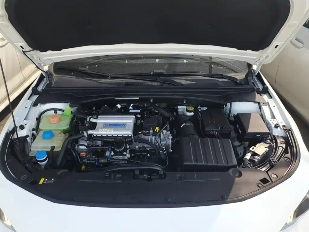 GAC Motor Shadow Leopard — фото 20