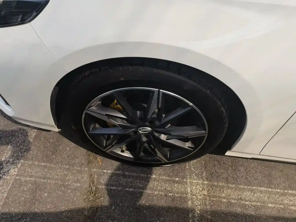 GAC Motor Shadow Leopard — фото 23