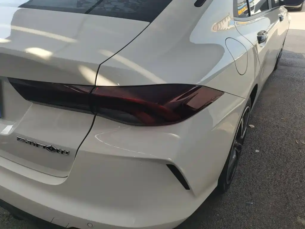 GAC Motor Shadow Leopard — фото 8