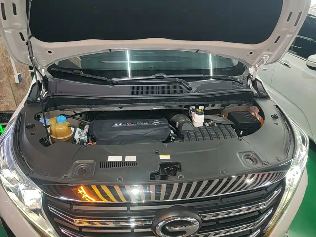 GAC Motor Trumpchi M8 — фото 20