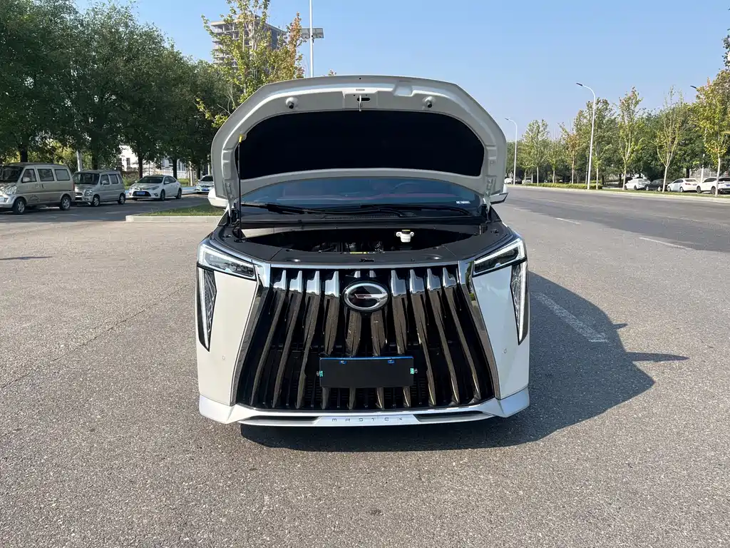 GAC Motor Trumpchi M8 — фото 17