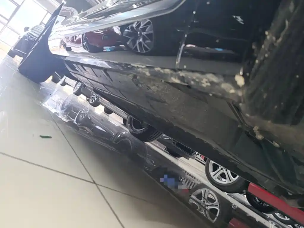 GAC Motor Trumpchi Xiangwang S9 — фото 19