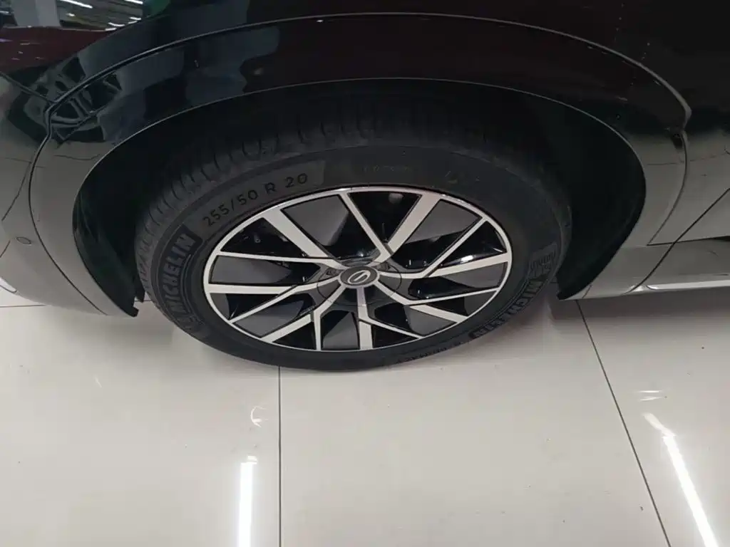 GAC Motor Trumpchi Xiangwang S9 — фото 25
