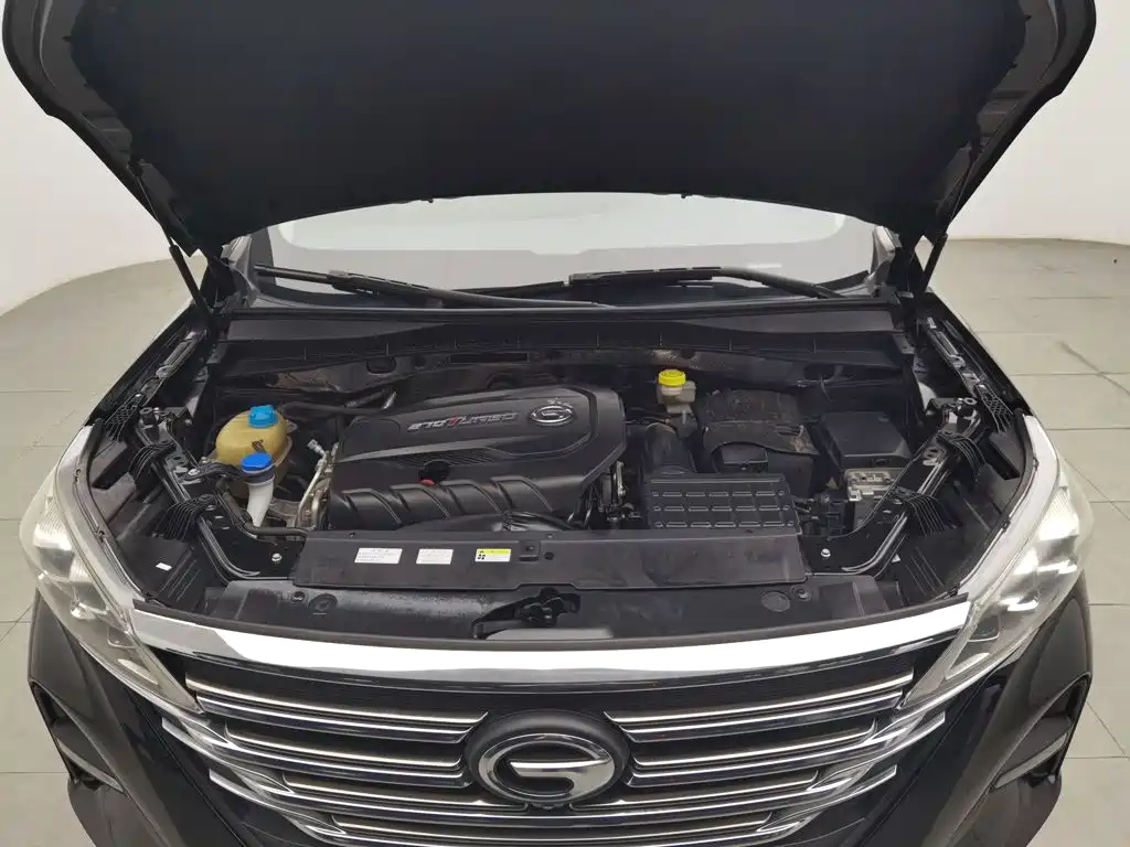 GAC Motor Trumpchi GS5 — фото 6