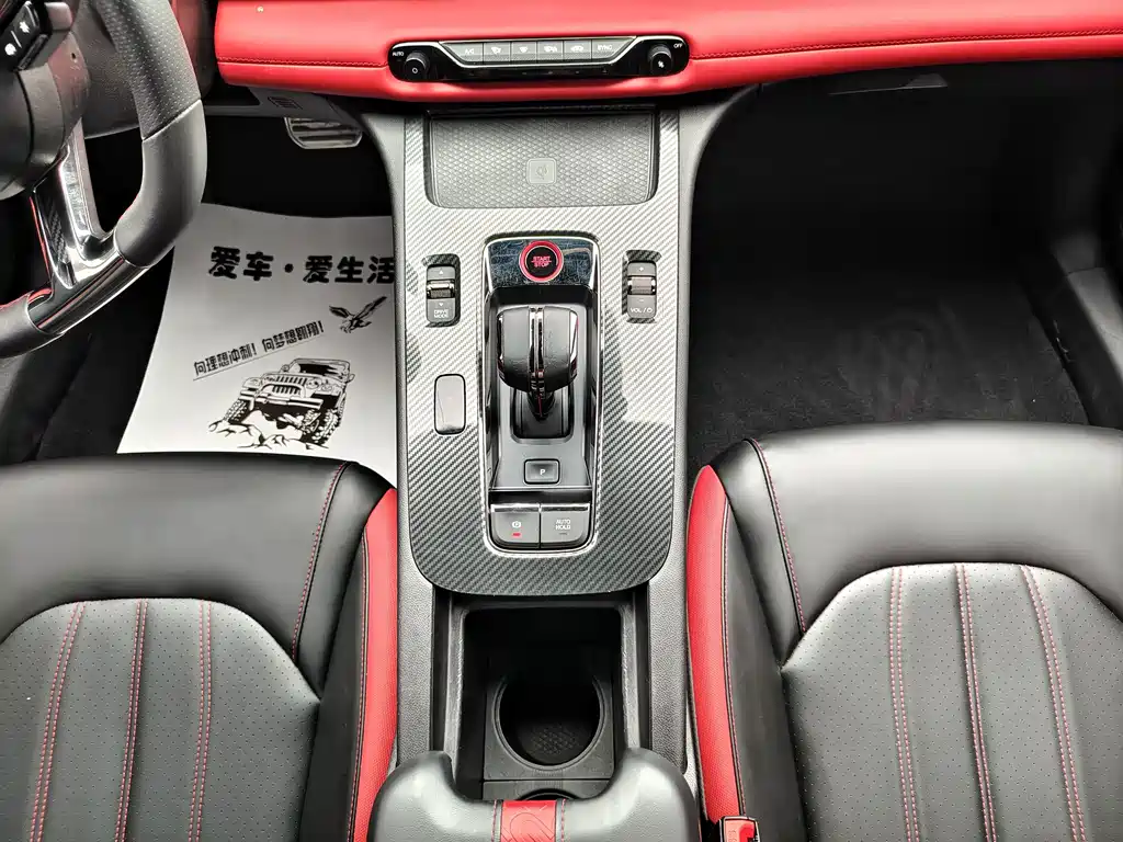 GAC Motor Shadow Leopard — фото 6