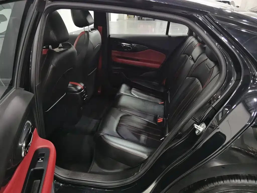 GAC Motor Shadow Leopard — фото 15